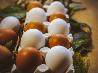 chicken eggs in a stand.