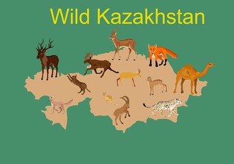 Map of kazakhstan with local animals, vector illustration