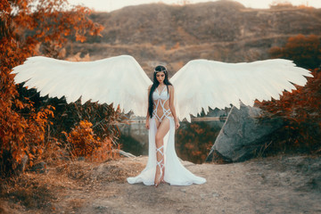 A beautiful white archangel descended from heaven. A girl in a sexy suit with huge white wings....