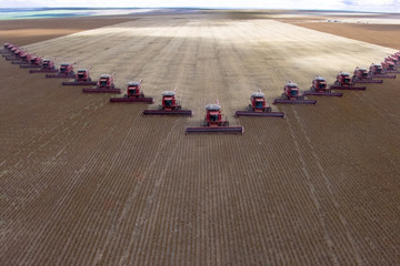 Mato Grosso, Brazil, March 02, 2008: Mass soybean harvesting at a farm in Campo Verde