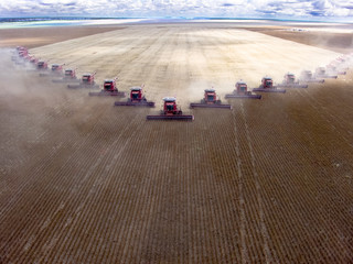 Mato Grosso, Brazil, March 02, 2008: Mass soybean harvesting at a farm in Campo Verde