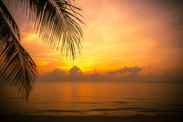 Plakat Golden sun set in tropical hot summer beach with palm leaf in foreground in thailand, golden special effect.