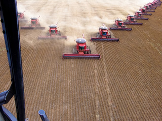 Mato Grosso, Brazil, March 02, 2008: Mass soybean harvesting at a farm in Campo Verde