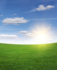 Green grass field and blue sky.