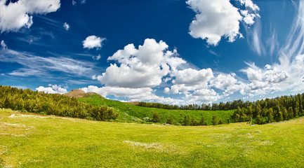stunning Icelandic landscape with deep blue sky with white clouds, forest and meadow with lush green grass