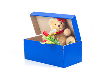 lovely bear toy in blue box gift on white background