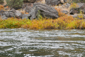 Obraz na płótnie Canvas Close up of river with rocks and fall foliage