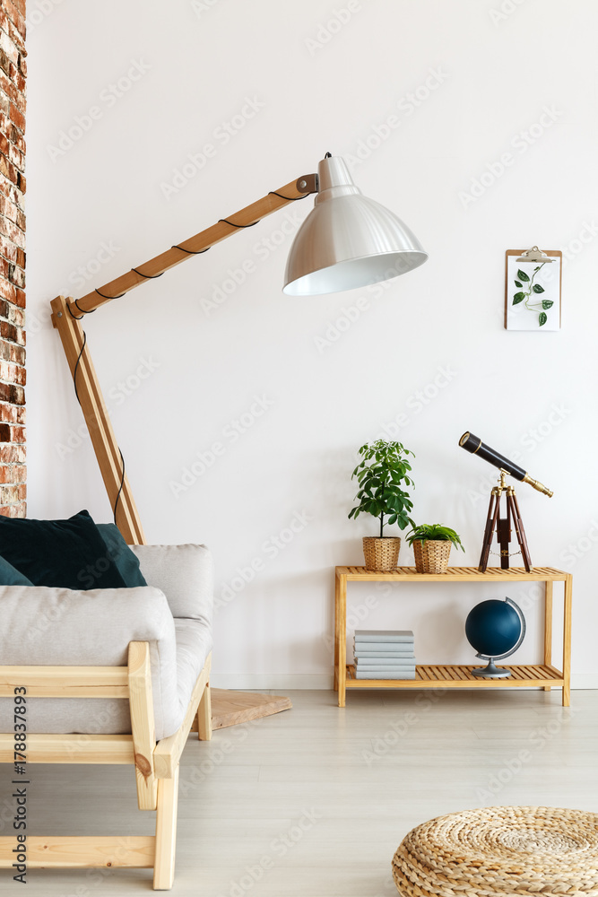 Wall mural plants and telescope on table