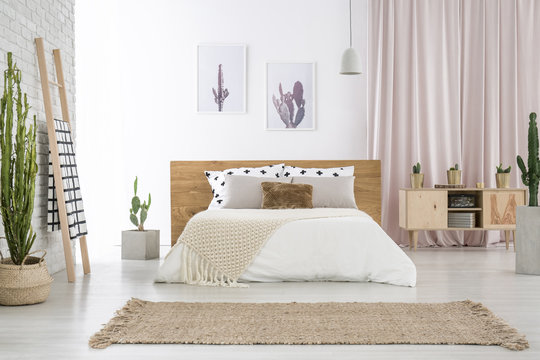 Spacious bedroom with cactus motif