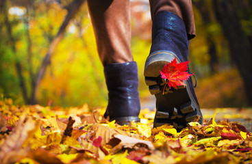 maple leaf on the shoe