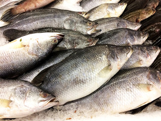 Raw fish on ice in the market