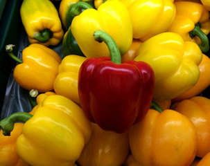 sweet red chilly in the market.