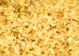 Flower orchid as natural background