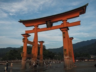 Miyajima Tori Ebbe