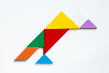 Colorful wood tangram puzzle in vulture shape on white background
