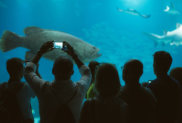 Many people observe the fish in the oceanarium.