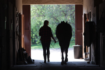Walking Horse Silhouette
