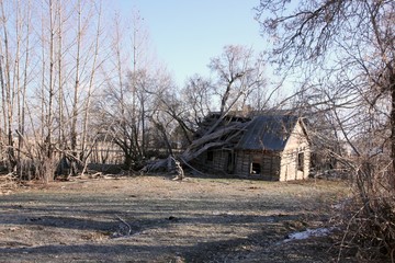Abandoned homestead 