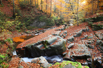 Magnificent view of the waterfall in the Autumn Beech Forest in Europe