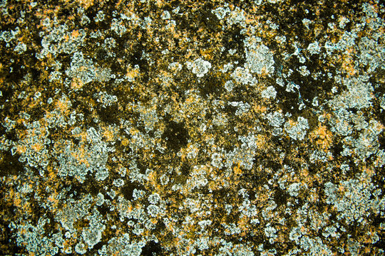 Textura rugosa de varios colores, azul claro, amarillo, verde y rora