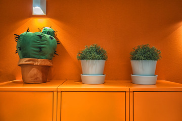 Picture of green plants on the yellow cabinet with yellow wall at the background.