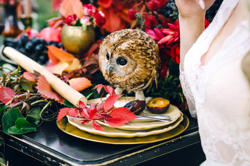 Owl on the festive wedding table with red autumn leaves. Wedding decoration. Artwork