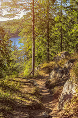 Autumn colors on forest over lake in high mountains.