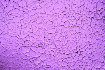  purple lilac old scales paint texture