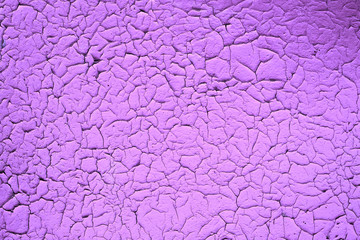  purple lilac old scales paint texture