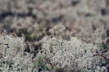 Processed with VSCO with se3 preset