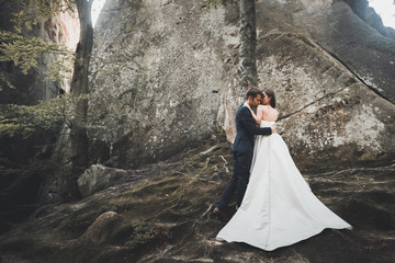 Fototapeta premium Gorgeous bride, groom kissing and hugging near the cliffs with stunning views