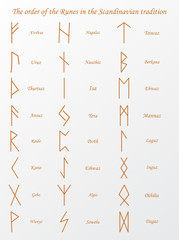 Vector illustration of brown runes symbols on a gray background.