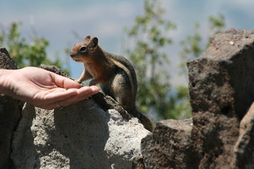 The Hand that Feeds Yo