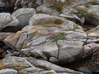 Rock enviroment