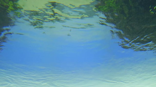Underwater view
