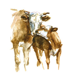 Momma cow and calf © anniebrusnika