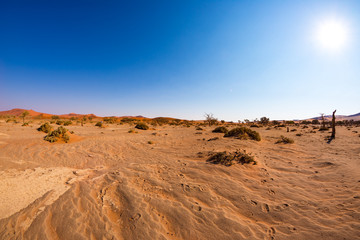 Fototapeta na wymiar Footprints on Sossusvlei Sand Dunes, Namib Naukluft National Park, Namib desert, scenic travel destination in Namibia, Africa.