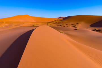 Fototapeta na wymiar Sossusvlei Sand Dunes, Namib Naukluft National Park, Namib desert, scenic travel destination in Namibia, Africa.