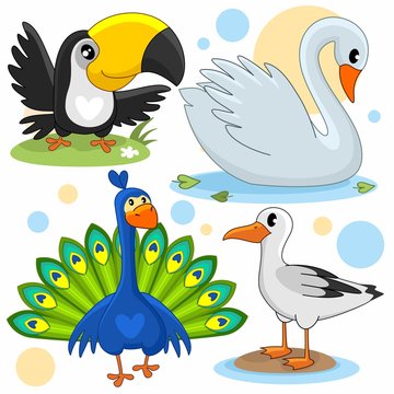 Набор иллюстраций для детей с изображением птиц, тукана, павлина, чайки и белого лебедя.
