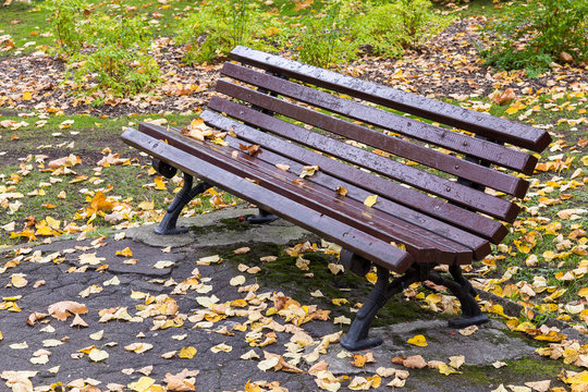 Bench in the park covered with fallen leaves in autumn day.