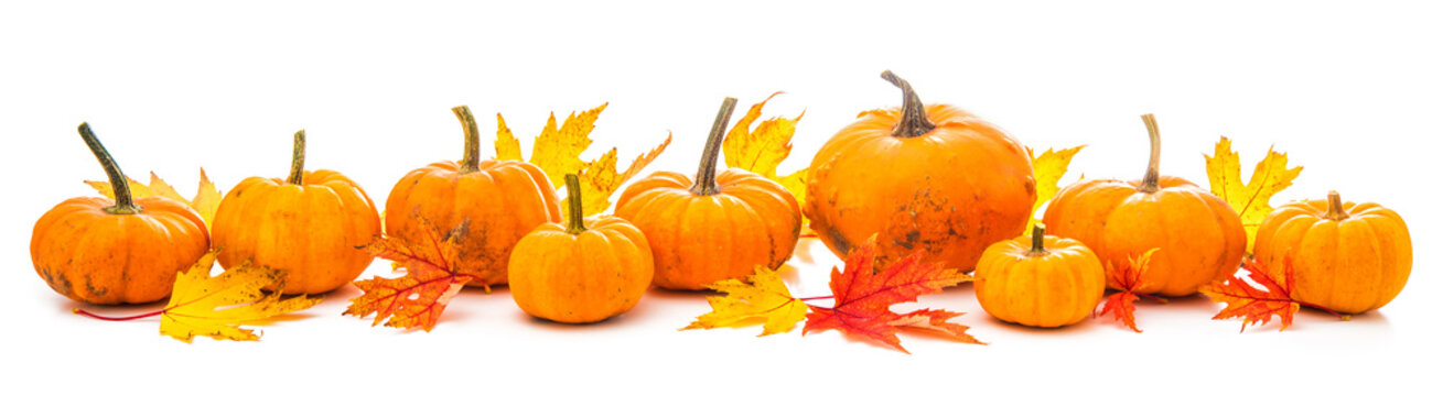 Autumn decoration arranged with dry leaves and pumpkins i