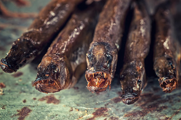 The toothy mouth smoked fish smelt osmerus lies on light-colored paper on a wooden background.