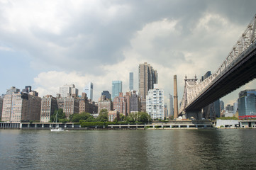 Obraz premium New York City and Queensboro Bridge skyline viewed across the East River from Roosevelt Island waterfront.