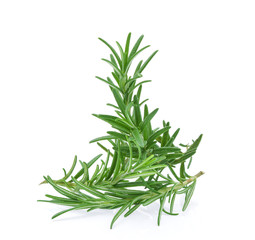 rosemary isolated on white background