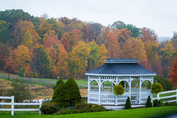 gazebo in fall