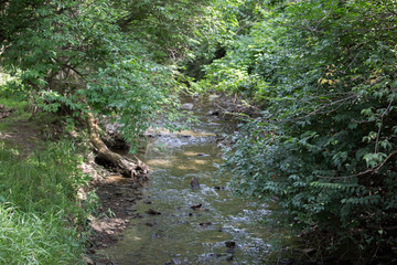 creek bed