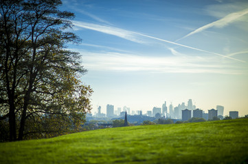 Fototapeta na wymiar Autumn view across lush grassy hill across to the central London skyline.