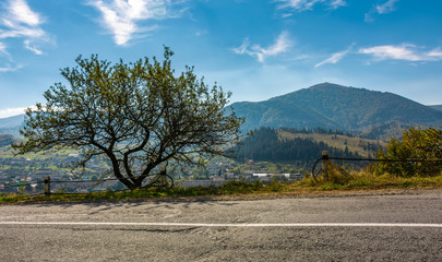 countryside road through rural area in mountains. lovely landscape in fine weather