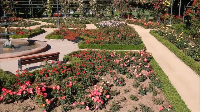 Aerial view of rose garden in Santiago, Chile