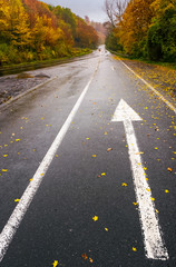 Fototapeta na wymiar wet asphalt road through forest in deep autumn. gloomy rainy day background. painted arrow sign in fallen yellow foliage showing the direction